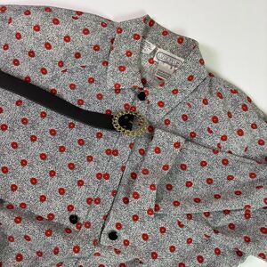 Vintage Liz Roberts Shirt Dress Pleated Red Polka Dot Size 10 Belted Academia